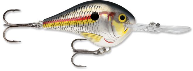 Rapala DT Dives-To Series Crankbait - Shad - 2-1/4″ - 3/5 oz. - 10'