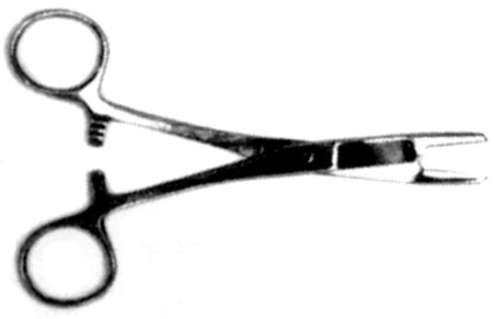 Surgical Pliers 6 in. With Scissors