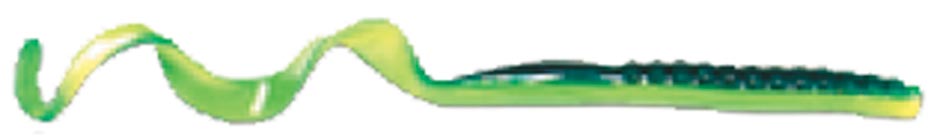 Culprit - Classic CC720-03 Culprit Worms, 7.5 in. - Green Shad