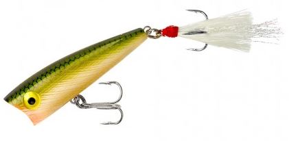 Rebel Pop R - Tennessee Shad - 0.25
