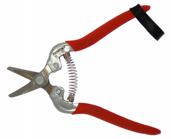 Zenport Harvest Shear Short Curved Stainless- Box of 12