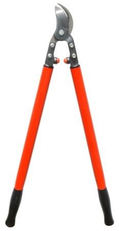 Zenport MV175-12PK MV175 Professional Orchard and Landscape Tree Lopper, 2 Cut, 30-Inch Long, Box of 12, Orange