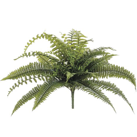 Picture of Allstate Floral & Craft PBF971-GR Dragon Fern Silk Plant&#44;41 Leaves - 28 in.