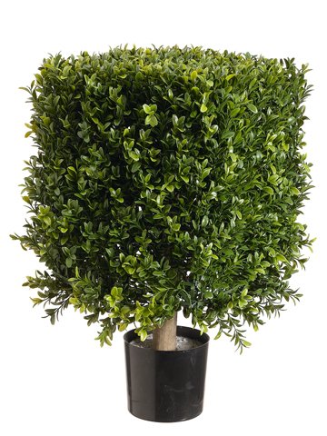Picture of Allstate Floral & Craft LPB221-GR-TT Square Boxwood Topiary&#44; Two Tone Green - 21 in.