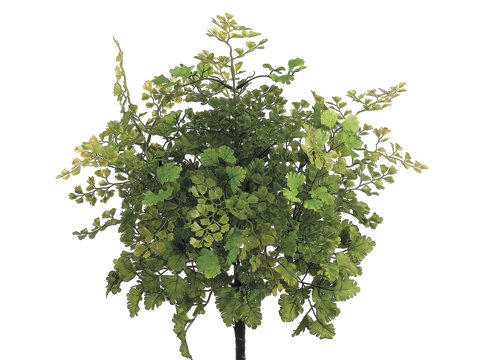 Picture of Allstate Floral & Craft PBF532-GR-LT Tall Maidenhair Fern Bush&#44;  Light Green - 16 in.