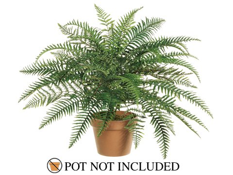 Picture of Allstate Floral & Craft PBF190- River Fern Bush - 29 in.