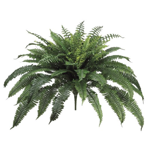 Picture of Allstate Floral & Craft PBF213- New Boston Fern Bush&#44;32 in.