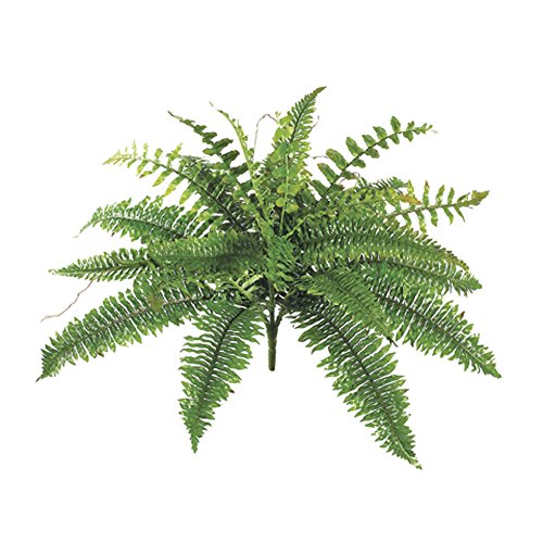Picture of Allstate Floral & Craft PBF209- New Boston Fern Bush - 19 in.