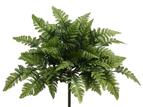 Picture of Allstate Floral & Craft PBF519-GR-DK Leather Fern Bush&#44; Green - 15.5 in