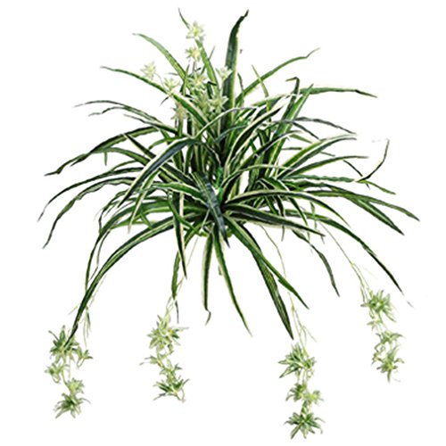 Picture of Allstate Floral & Craft PS6340- Spider Silk Plant&#44; Green & White - 28 in.