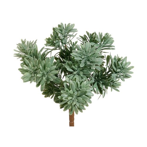Picture of Allstate Floral & Craft PBG887-GR-FS Plastic Succulent Grass&#44; Frosted Green - 9 in.