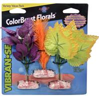 Picture of BLUE RIBBON PET PRODUCTS-CB-MINIVP-3 Colorburst Florals South American Fern Cluster