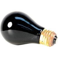 Picture of Bradley Caldwell 66026 Hermit Headquarters Hermit Crab Night Time Bulb&#44; Black