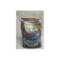 - Fall Magic Grass Seed Mixture