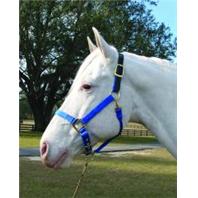 Picture of HAMILTON HALTER COMPANY-1DALSS LGBL Adjustable Horse Halter With Leather Headpole  Blue