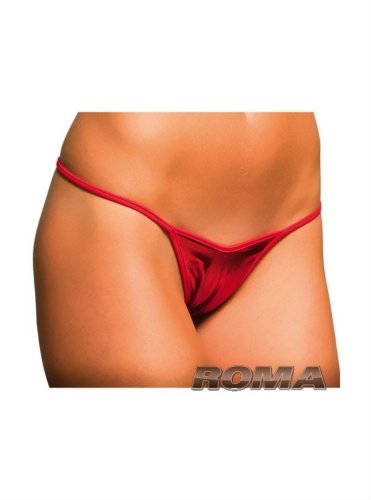 RomaCostume SJ-HP-O-S Sexy Bikini Bottom- Hot Pink - One Size