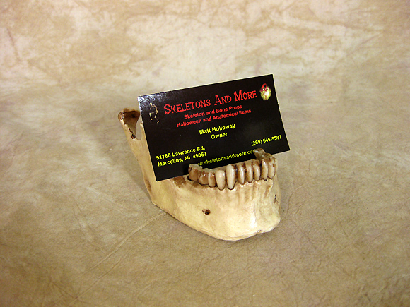 MIS-175 Jaw Business Card Holder