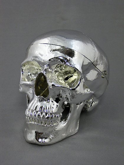 Chromed Skull