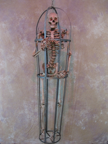 Iron Skeleton Cage w/Life-Size Aged Skeleton