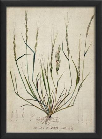 Botanical IV in Black Ready to Hang Artwork