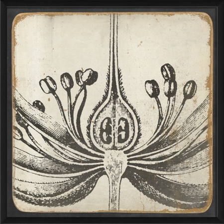 17565 Vintage Flower I Ready to Hang Artwork