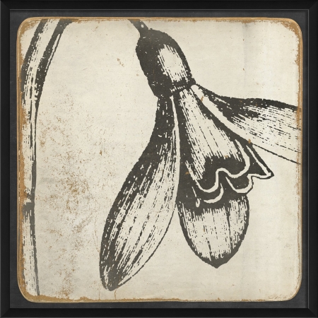 Vintage Flower III Ready to Hang Artwork