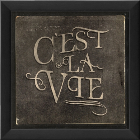 18777 French Phrase Cest La Vie Ready to Hang Artwork
