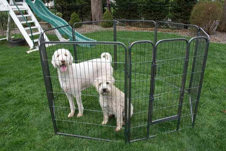 32 in. Heavy Duty Metal Tube Pen Pet Dog Exercise & Training Playpen - Iconic Pet 92148