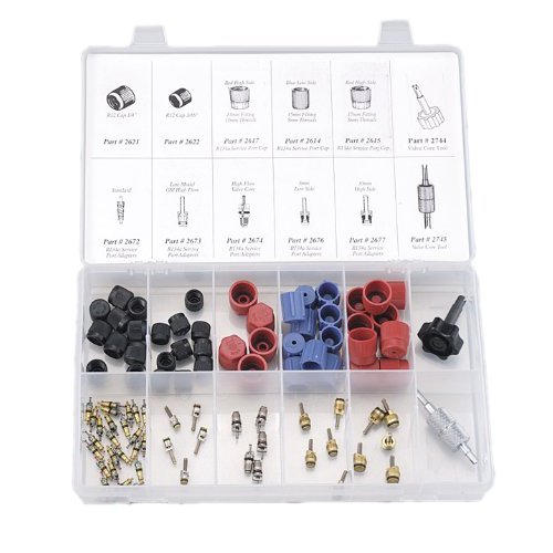 FJC-2663 Service Port Cap and Valve Core Assortment with Tools