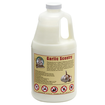 GAR-64 Garlic Scentry 0.5 gal Bottle Premixed & Ready To Use - 64 oz. by Bare Ground