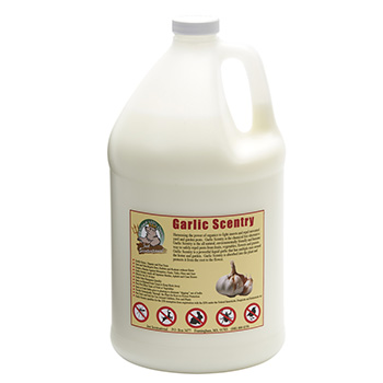 GAR-128 Garlic Scentry gal Bottle Premixed & Ready To Use - 128 oz. by Bare Ground