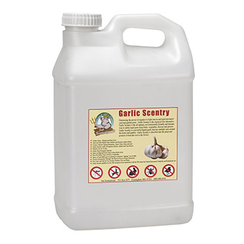 GCS-2.5P Garlic Scentry 2.5 gal Bottle Garlic Concentrate by Bare Ground