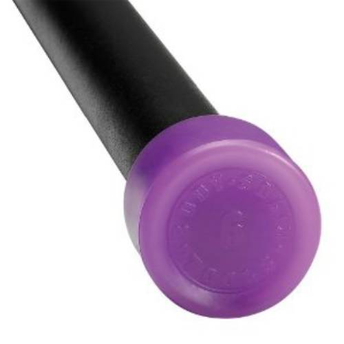 Picture of Body Solid Tools BSTFB6 6 lbs. Light Purple Padded Weighted Bar