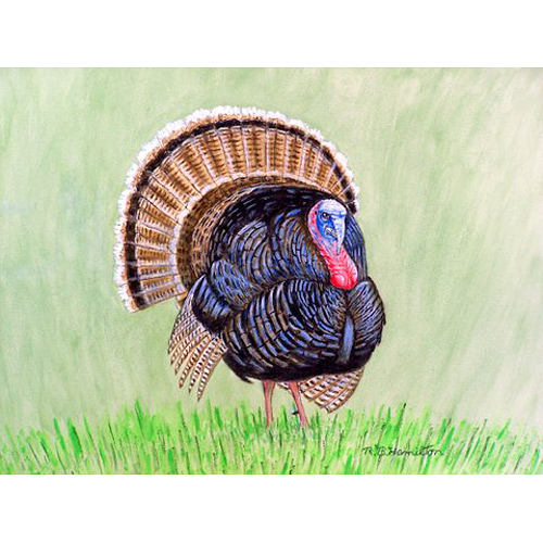 Picture of Betsy Drake DM512G Wild Turkey Door Mat 30 x 50