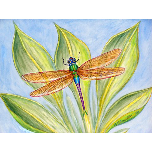 Picture of Betsy Drake DM299G Dicks Dragonfly Doormat 30 x 50