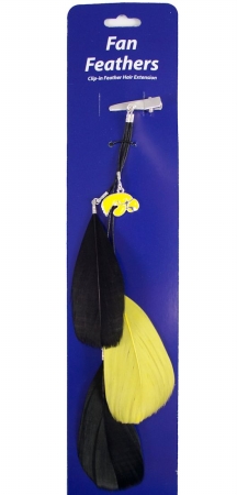 Picture of Iowa Hawkeyes Team Color Feather Hair Clip