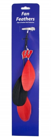 Picture of Wisconsin Badgers Team Color Feather Hair Clip