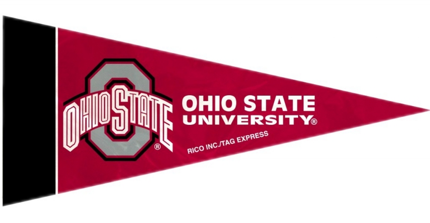 Picture of Ohio State Buckeyes Pennant Set Mini 8 Piece