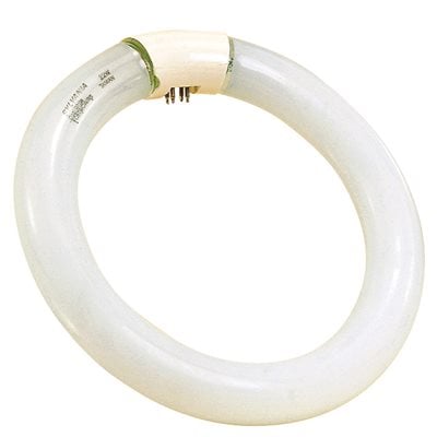Picture of  S6506 Satco Compact Fluorescent Lamp T9 Circline- 4100K