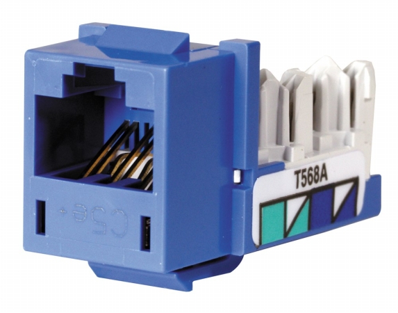 Speedgaina Category 5e Jack Universal Blue
