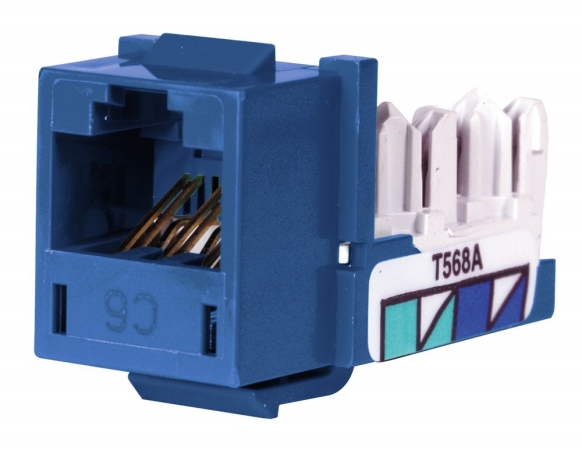 Nextspeeda Category 6 Jack Universal Blue