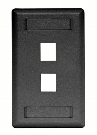 Picture of Hubbell IFP12BK 2 Port Rear Loading Single Gang Face Plate&#44; Black