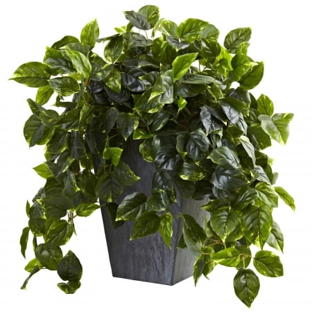 Picture of Nearly Natural 6799 Hanging Pothos With Slate Planter UV Resistant - Indoor & Outdoor