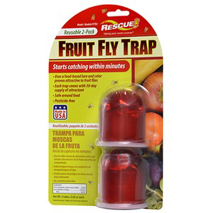 International FFTR2-SF6 Reusable Fruit Fly Trap Pack of 4
