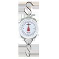 Allen 15500 Sportsman Scale No. 550 Allen 15500 Sportsman Scale No. 550