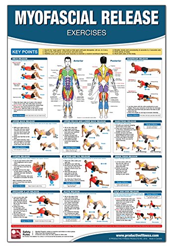 Picture of Productive Fitness CMRL Myofascial Release