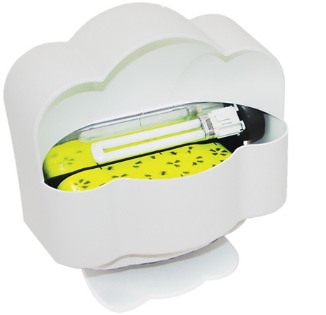 250708 Fruit Fly Patrol