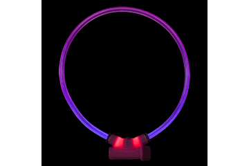 Picture of Red Dingo LT-ZZ-PU-LG Lumitube Illuminated Dog Safety Collar&#44; Bright Purple - Large To XL