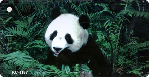KC-1187 Panda Novelty Key Chain