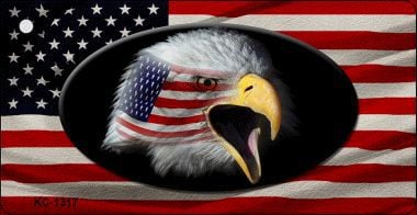 KC-1317 Eagle Head American Flag Novelty Key Chain